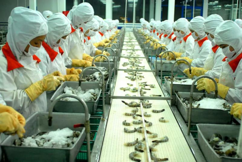 Chế biến thủy sản là nhóm việc phù hợp với lao động chăm chỉ khi đi xuất khẩu lao động Đài Loan