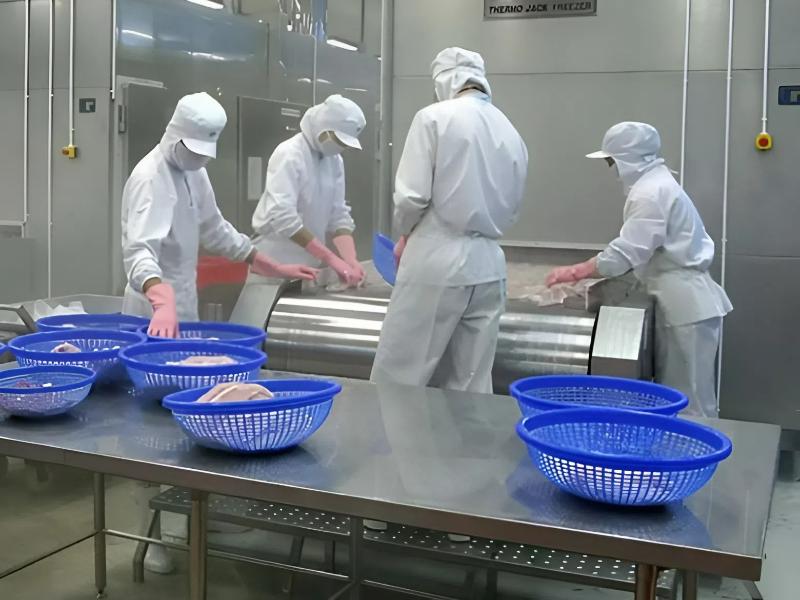 Môi trường làm việc nhẹ nhàng, ổn định của ngành thực phẩm là lựa chọn ưu tiên của nhiều ứng viên khi tìm hiểu xuất khẩu lao động Đài Loan Thanh Hóa