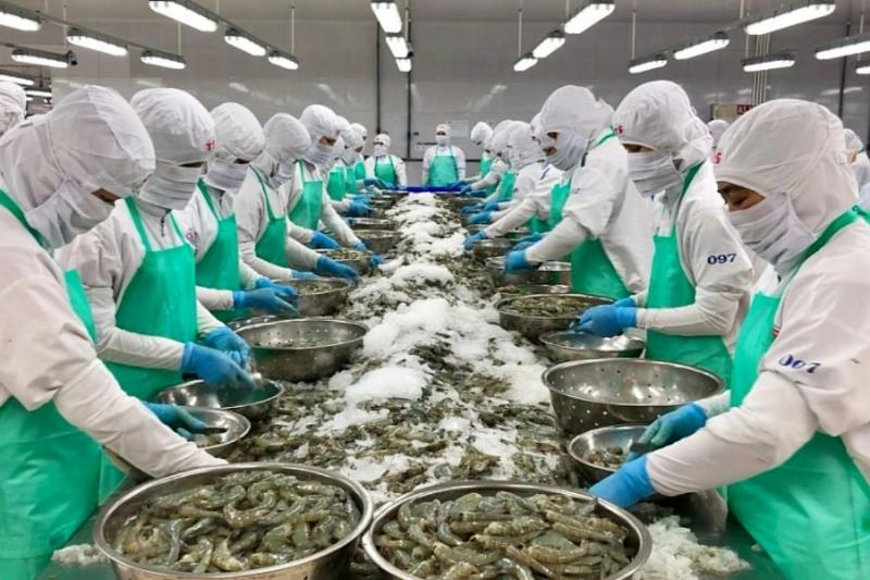 Đơn hàng phân loại và sơ chế tôm, cá tươi