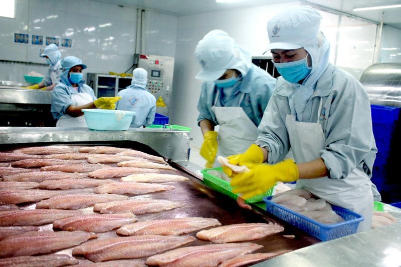 Đơn hàng chế biến chả cá, viên hải sản