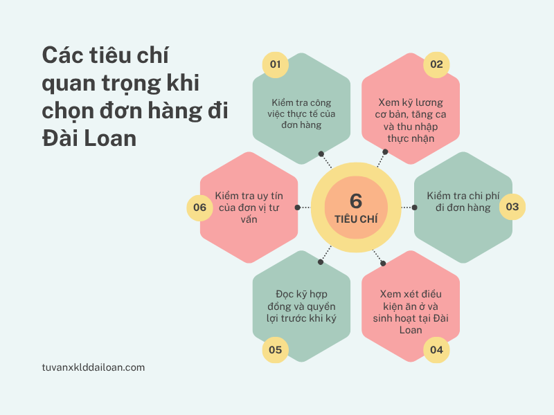 Các tiêu chí cần lưu ý khi chọn đơn hàng: Công việc thực tế, mức lương thực nhận, chi phí xuất cảnh và quyền lợi hợp đồng.