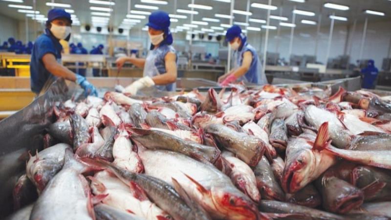 Ngành chế biến thủy ải sản yêu cầu sức khỏe tốt, chịu được môi trường lạnh và không dị ứng hải sản