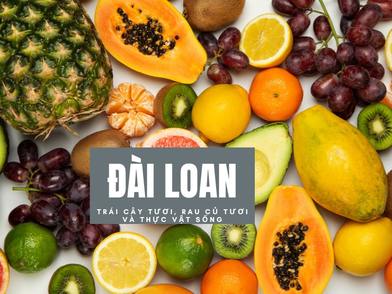 Trái cây và rau củ tươi nằm trong danh mục nghiêm cấm mang vào Đài Loan để tránh lây lan sâu bệnh