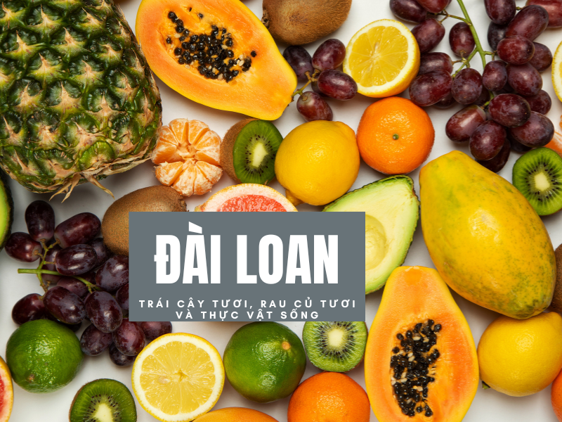 Trái cây và rau củ tươi nằm trong danh mục nghiêm cấm mang vào Đài Loan để tránh lây lan sâu bệnh.