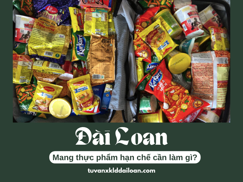 Chủ động loại bỏ hoặc khai báo thực phẩm không rõ quy định tại sân bay để tránh bị xử phạt