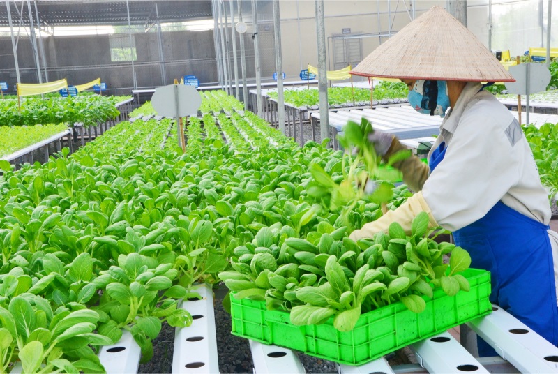 Nhóm ngành nông nghiệp