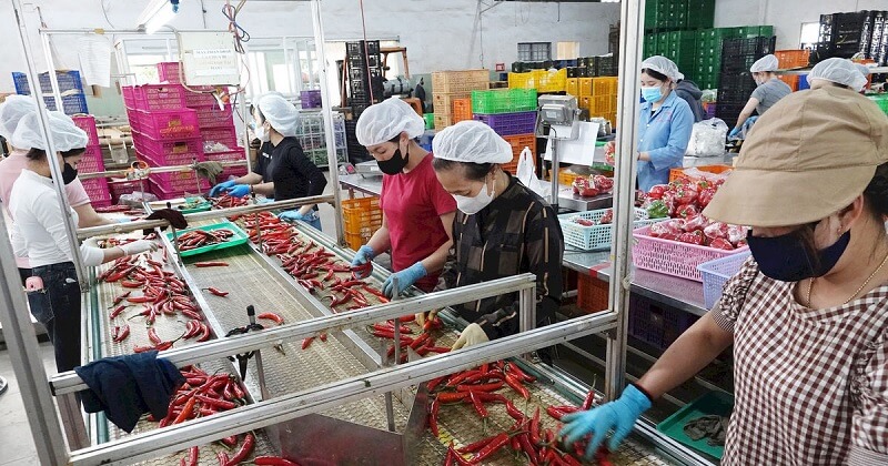 Đơn hàng sơ chế và đóng gói