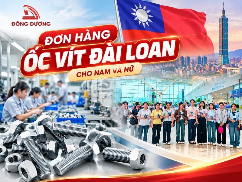 Đơn hàng ốc vít Đài Loan​