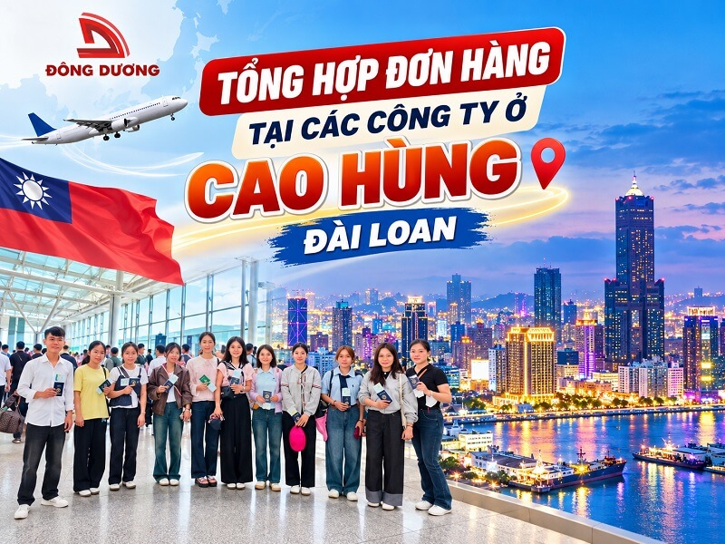 Tổng hợp đơn hàng tại các công ty ở Cao Hùng Đài Loan