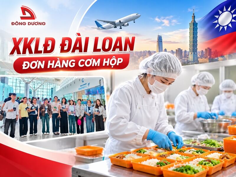 XKLĐ Đài Loan đơn hàng cơm hộp